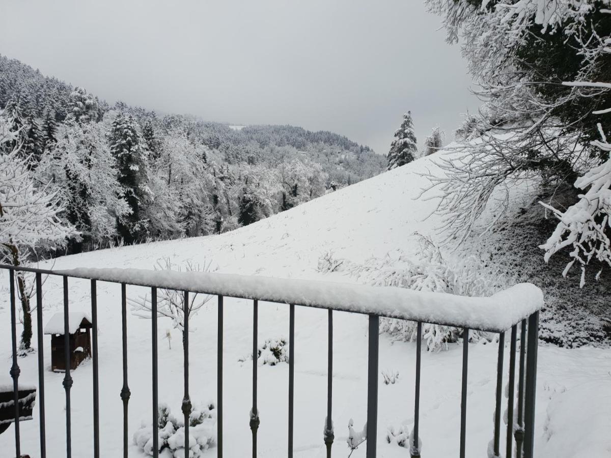 B&B Il Bagarello パラッツオーロ・スル・セーニオ エクステリア 写真